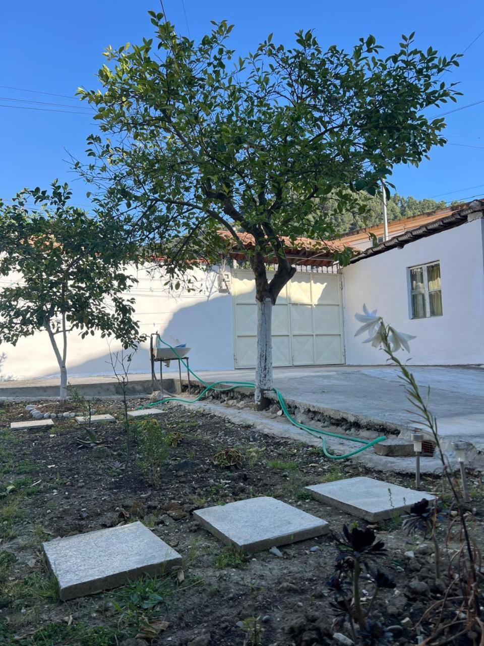 Berat Private Room In Haxhialiu Villa エクステリア 写真